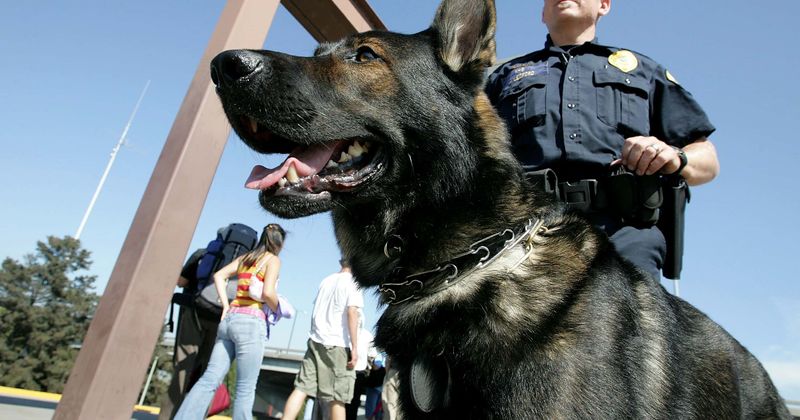 Alabama cop's K-9 mauls innocent Black man to death in false burglary alert: 'His flesh was all on the ground'