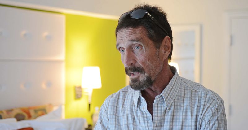 What is John McAfee's net worth? Inside tax evasion scandal for hiding '$23 million, cryptocurrency and yacht'