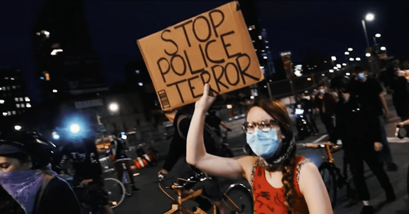 Why did Amazon cancel Shelby Steele's 'What Killed Michael Brown?' Internet rallies against 'systemic racism'