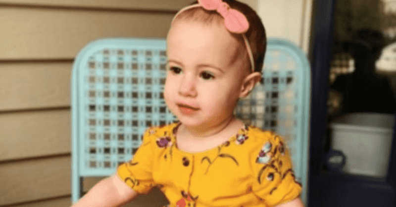 Chloe Wiegand's grandad pleads guilty in death of toddler who fell 150ft from cruise ship window, avoids jail