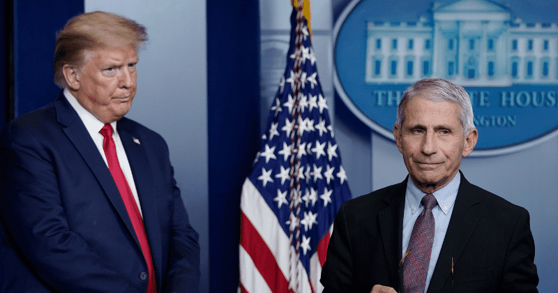 'Winter is coming': Fauci warns of Covid-19 spike after fall, slams Trump for focusing on reopening US economy