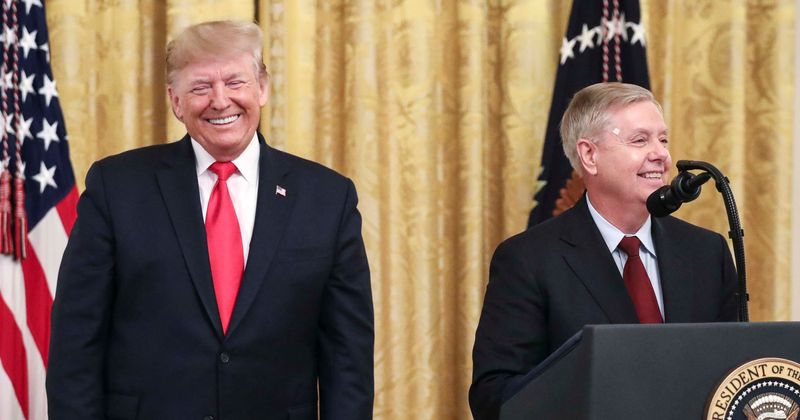 Lindsey Graham backs Trump's claim of voter 'fraud', says Democrats would be 'cheered on' for doing the same