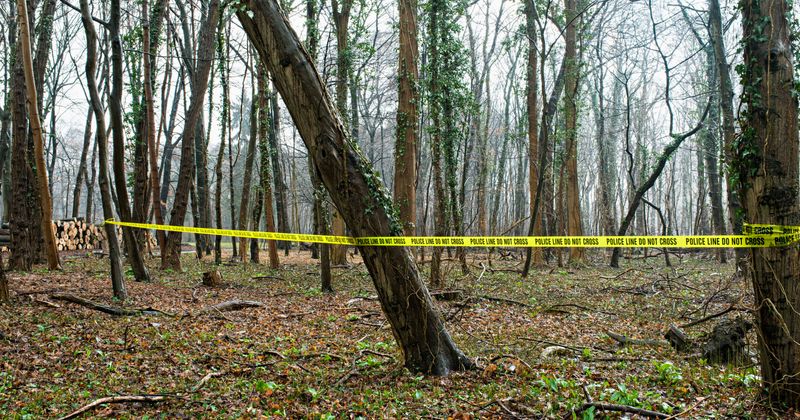11-yr-old newspaper delivery girl raped and killed by man just months after he was released from jail for murder