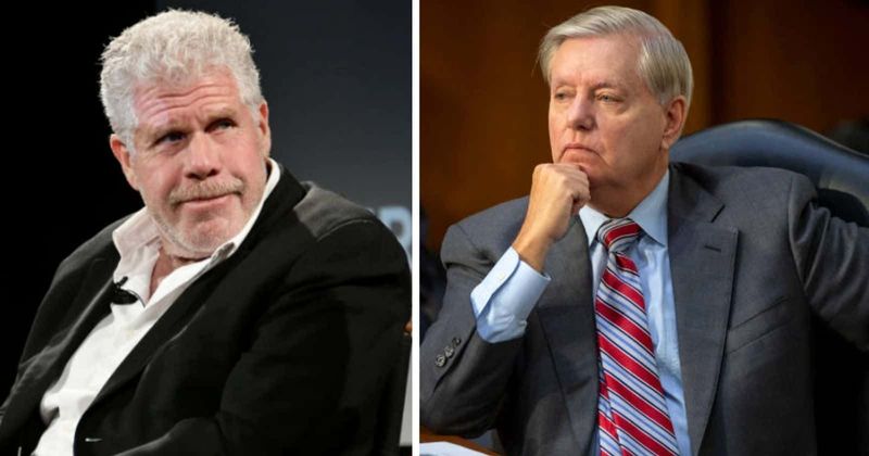 Ron Perlman says Lindsey Graham 'is ripe for an a** f*****g' after GOP senator accused of election interference