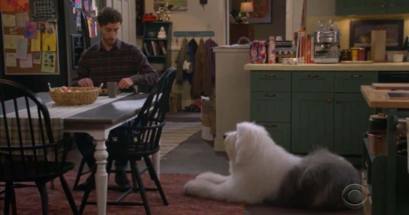 'B Positive' Episode 3: Are fans warming up to CBS sitcom? 'This show is really growing on me'