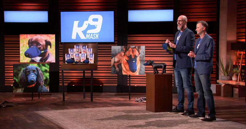 K9 Mask on 'Shark Tank': What is the cost, who are the founders and is the air-filter mask for dogs fit for Covid-19?