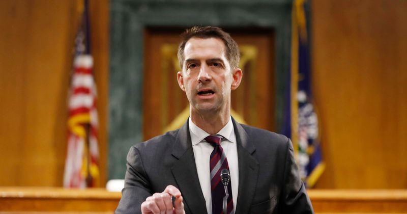 What is the Mayflower anniversary? Tom Cotton blames 1619 Project for erasing 400th anniversary from history