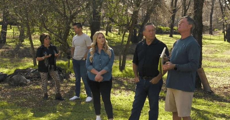 'I Love A Mama's Boy': Matt favors Kelly over Kim's idea for the house, viewers say 'he's still breastfeeding'