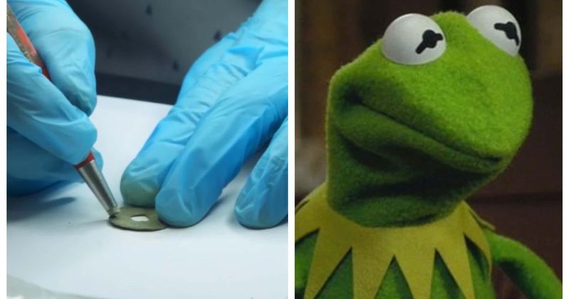 'The Curse Of Oak Island' Season 8: Does the Chinese coin have bits of green? Fans 'suspect' Kermit the Frog