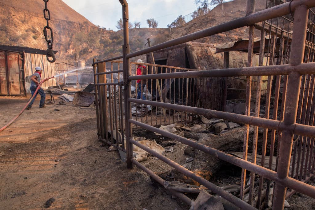 California fires