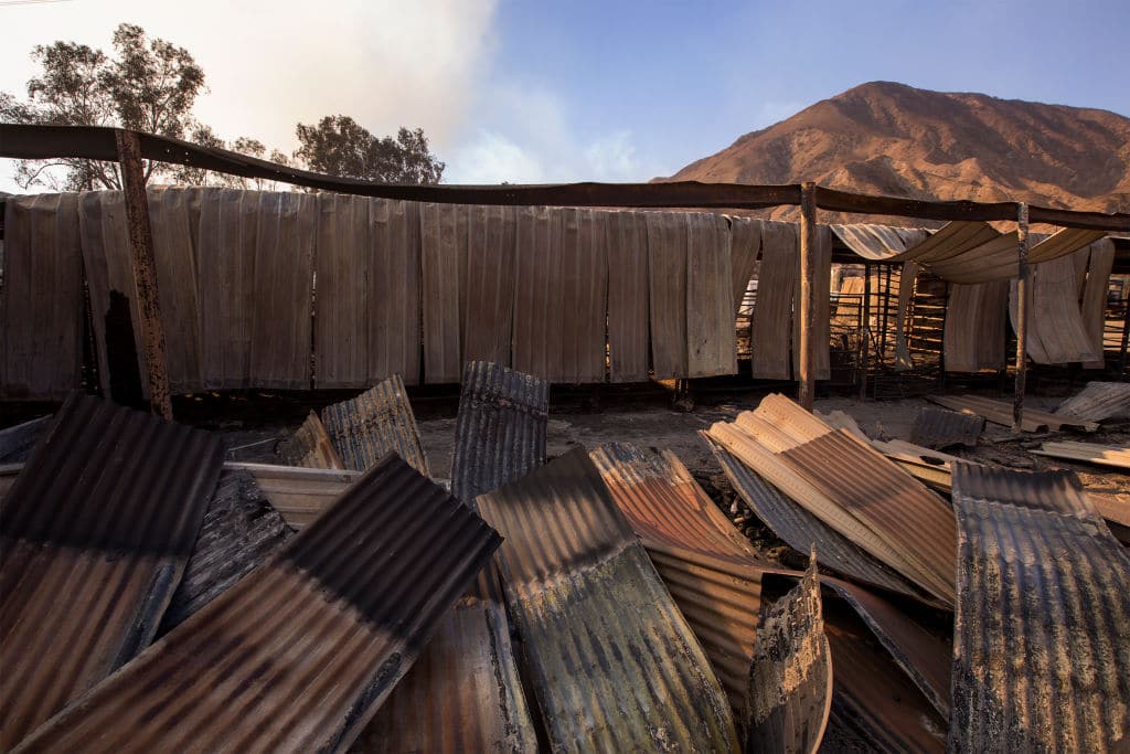 California fires