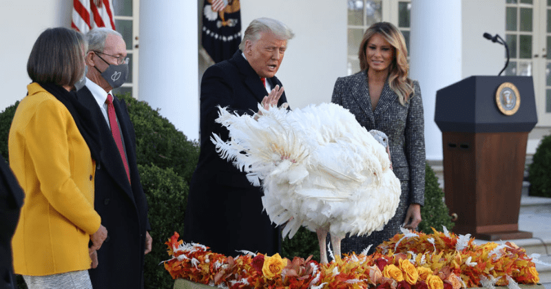 Donald Trump gets heckled as he pardons White House turkey Corn, Internet says 'January can't come soon enough'