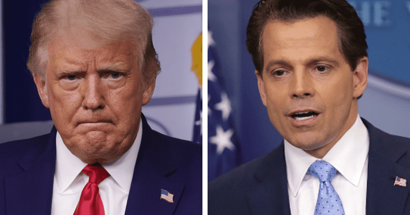 Donald Trump will not run for White House in 2024, says Anthony Scaramucci: 'He'll lose interest'