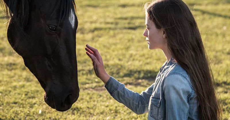 'Black Beauty': Meet Kate Winslet, Mackenzie Foy, Iain Glen and rest of the cast of Anna Sewell novel adaptation