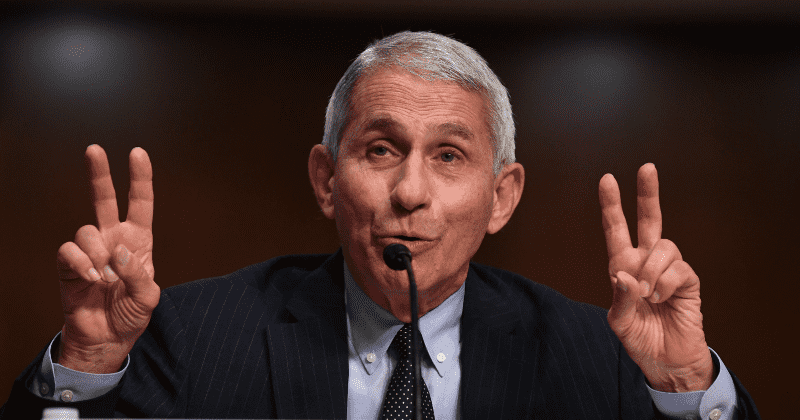 Fauci warns Americans to brace for ‘surge upon a surge’ in coronavirus cases after Thanksgiving holiday