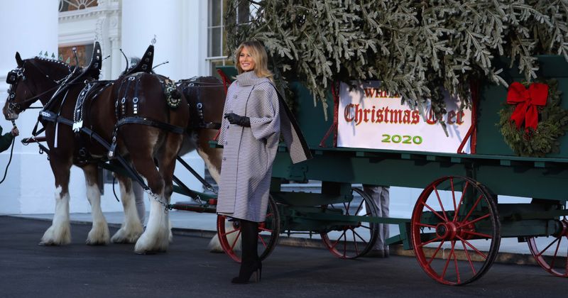 Melania Trump slammed for thanking volunteers for decorating White House for holidays: 'F Christmas she said'
