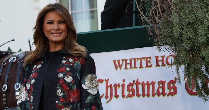 Melania Trump unveils lavish White House decorations in gold blouse and black skirt: 'America is beautiful'