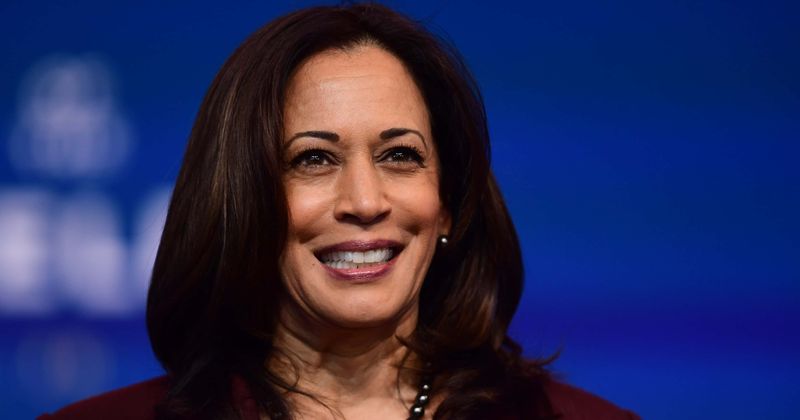 Kamala Harris slammed for backing minority-owned businesses, months after seeking funds to bail jailed protesters