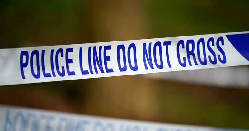 Vogue model stabs ‘abusive’ husband to death in heart after he brings woman home from bar and flirts with her
