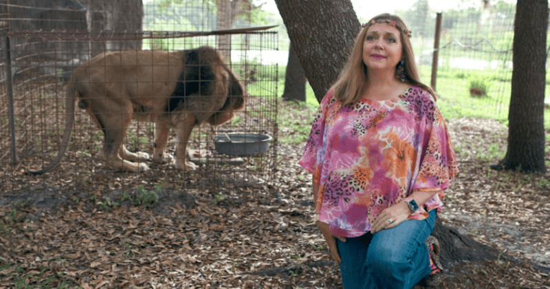 'Tiger King' star Carole Baskin’s husband was 'strangled with cord' and 'dumped out' of private jet, lawyer claims