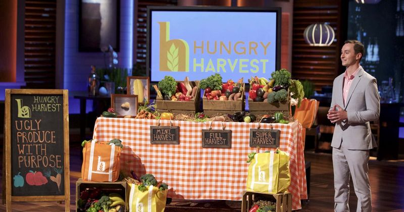 'Shark Tank': Where is Hungry Harvest now? Fans are impressed by Evan Lutz's produce delivery social enterprise