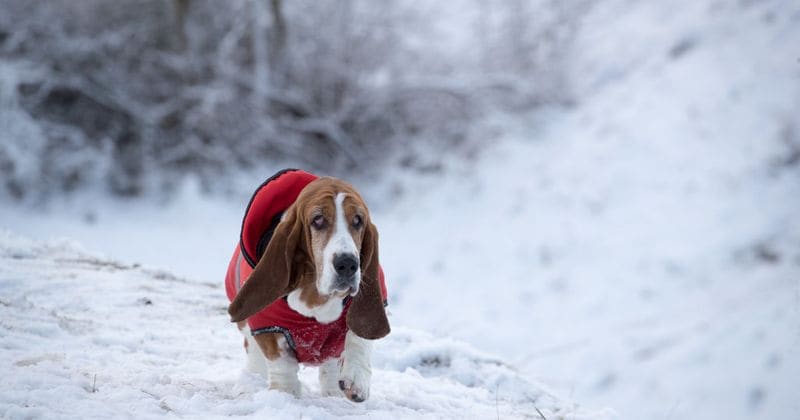 PHOTOS: Europe reels as weather wreaks havoc on daily life