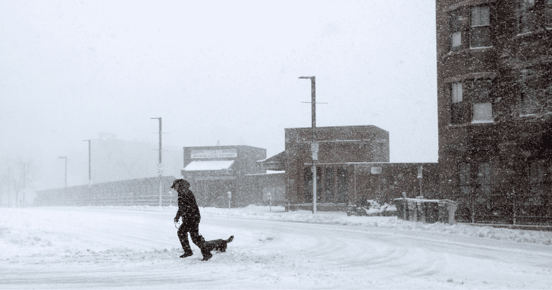 Season’s first Nor’easter slams New England with heavy snow and high winds, leaving many without power