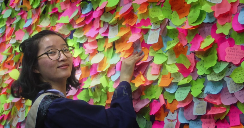 'Finding Yingying': Did Illinois police ever recover the 26-year-old Chinese student's decapitated body?