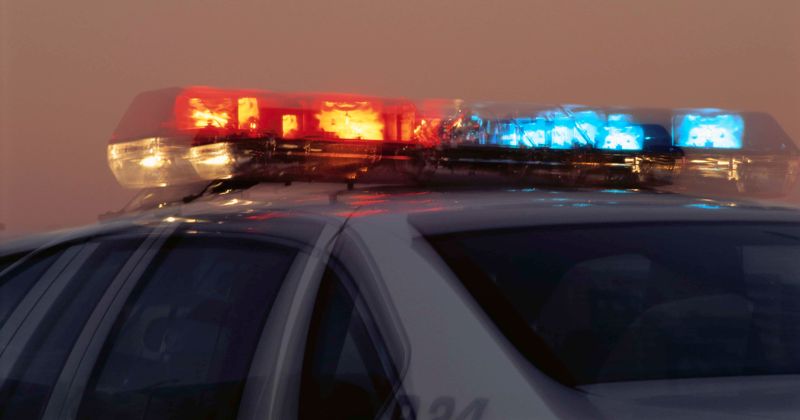 Decomposing remains of bruised and malnourished girl, 4, found in California home where adult couple overdosed