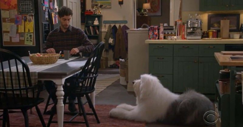 Why is 'B Positive' not airing this week? Here's what can we expect from CBS series when it returns in January