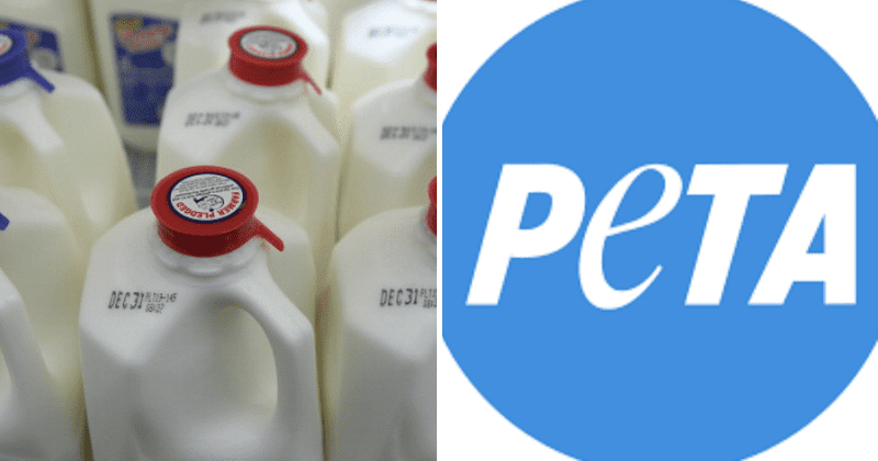 Can dairy products lead to autism? Internet slams PETA and labels it a conspiracy theorist group