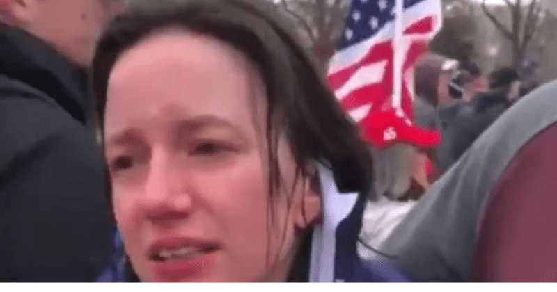 'Elizabeth from Knoxville', Richard Barnett and other Capitol protesters could face 20 years in prison