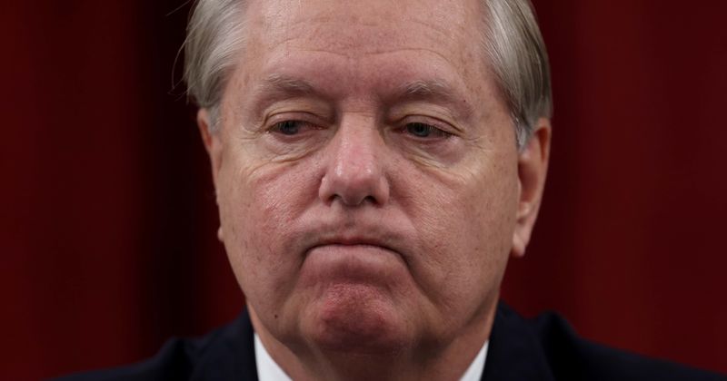 MAGA mob calls Lindsey Graham 'traitor' at Reagan airport, yells 'audit our votes' as Senator dumps Donald Trump