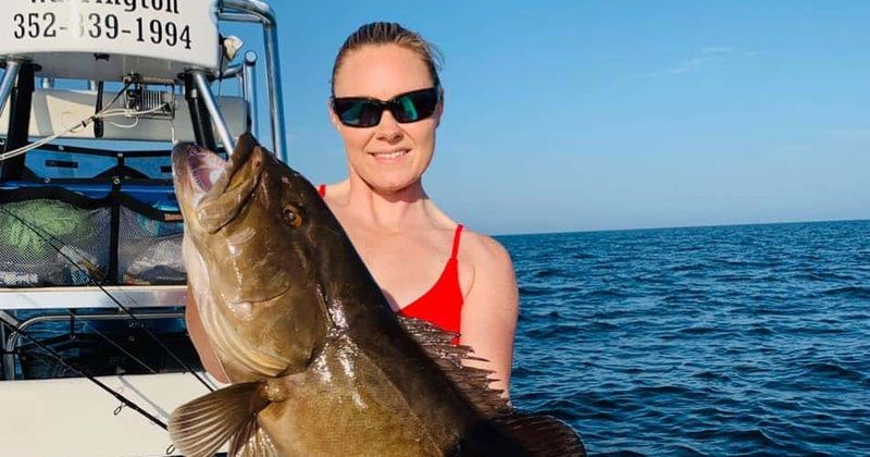 Who is Hailey Warrington? $5,000 offered to find culprit who etched 'TRUMP' on manatee after scuba diver's video