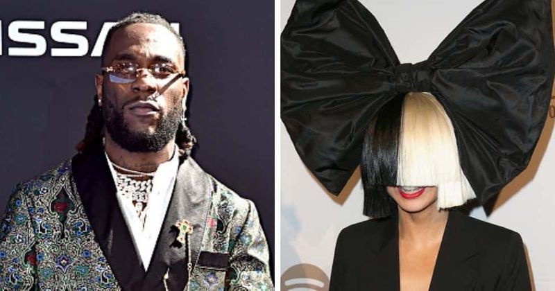 Sia partners with Burna Boy for 'Hey Boy' remix: Release date, concept, where to stream and buzz around new song