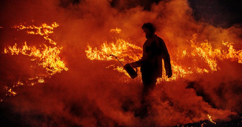 How hot was 2020? Record-breaking heat is just the start as NASA warns it is ‘precursor of more to come’