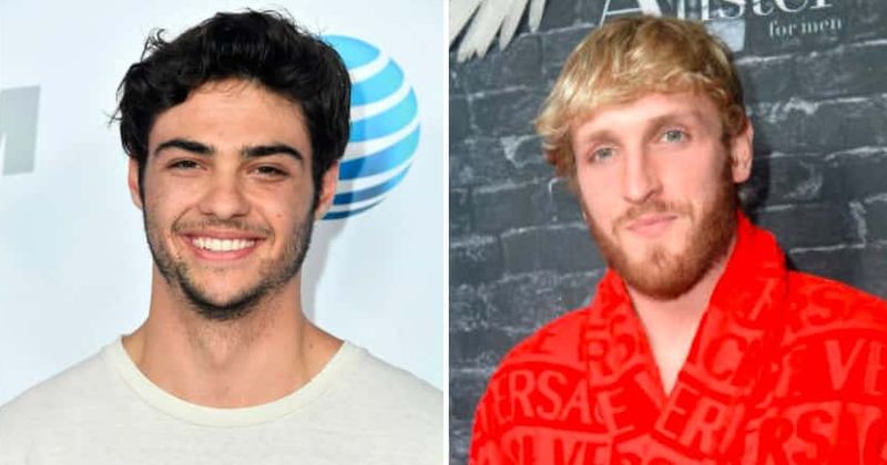 What is Noah Centineo canceled? The 'Internet boyfriend' tweeting in support of Logan Paul not taken lightly