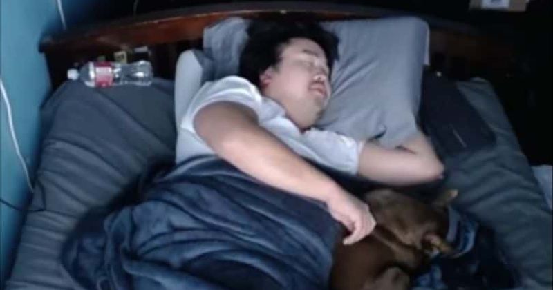 Who is Asian Andy? Twitch streamer makes $16,000 in 7 hours by letting viewers wake him up as he tries to sleep