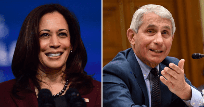 Kamala Harris branded 'liar' for contradicting Dr Fauci on Covid-19 plan and saying 'we're starting from scratch'