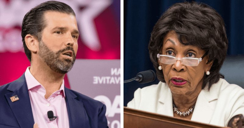 Donald Trump Jr mocks Maxine Waters after stock market comments over GameStop controversy: 'Downright insane'