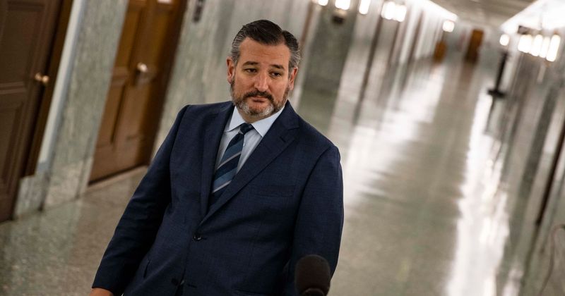 Who leaked Ted Cruz's flight plan? United Airlines launches probe as Internet labels informant 'American hero'