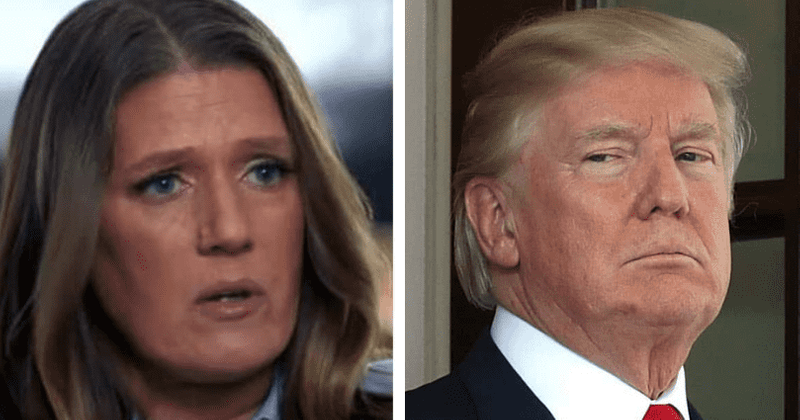 Donald Trump's niece Mary says he 'never made any money', claims records will reveal 'tax fraud for decades'