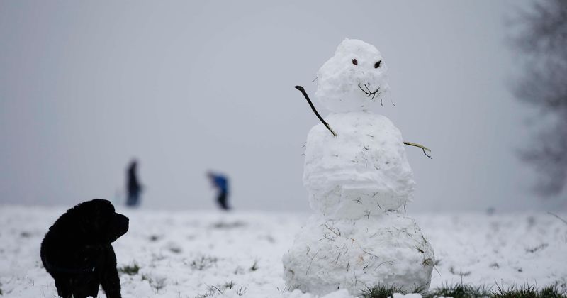 Parody Facebook page uses lewd snowmen to implore residents to ‘stop creating sexually suggestive snow people’