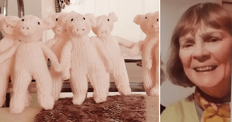 Who is Rita Rich-Mulcahy? Facebook apologizes for threatening to ban widow, 81, over knitted ‘white pigs’ post
