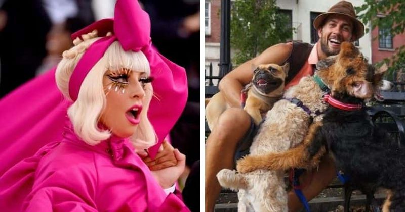 Lady Gaga's dog walker Ryan Fischer cries for help after getting shot by dognappers in horrifying footage