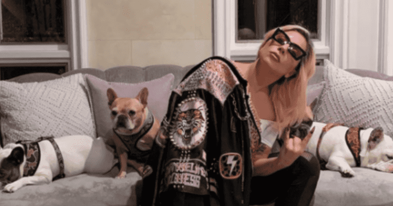 Who returned Lady Gaga's dogs? Woman 'uninvolved' with gunmen finds them, Internet asks if she got $500K reward