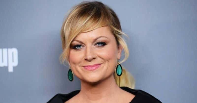 What is Amy Poehler's net worth? Comedian enjoys private life with sons in $3.6M renovated Beverly Hills home