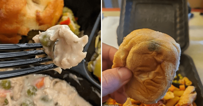 Michigan National Guard troops served raw meat and moldy food while guarding US Capitol, many hospitalized