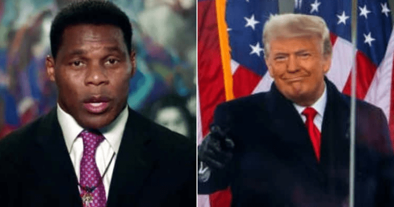 Trump endorses Herschel Walker for Georgia senator, but ex-NFL player trolled as 'White supremacy apologist'