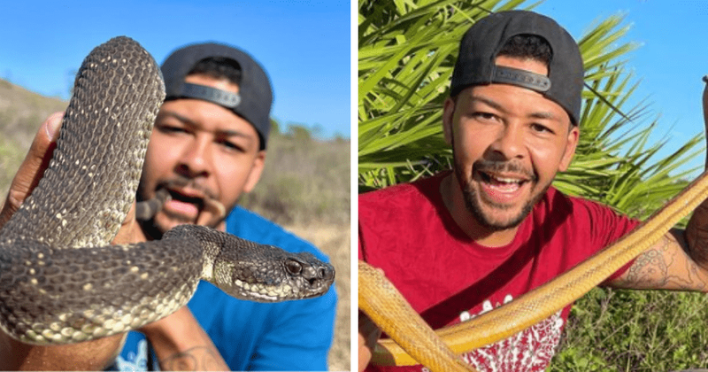 Who is Nick ‘The Wrangler’ Bishop? YouTuber nearly loses eye after Burmese python sinks fangs into his face